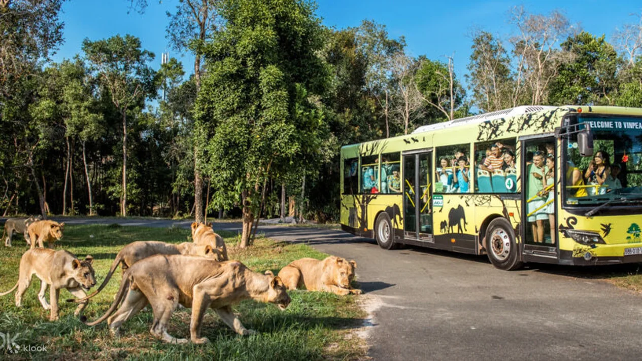 Vé Vinpearl Safari Phú Quốc